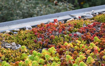 the cost of Castle Bytham green roof installation