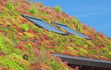 Castle Bytham living roof systems